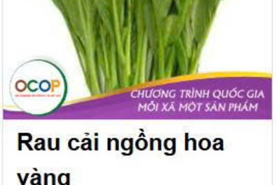 anh_1_af556