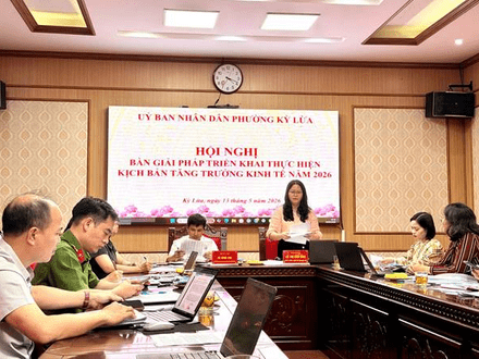Kinh tế - Chính trị