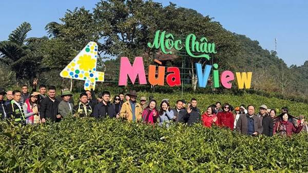 PHƯỜNG KỲ LỪA HÀNH TRÌNH TRẢI NGHIỆM – HỌC TẬP CÁC MÔ HÌNH NÔNG NGHIỆP HIỆU QUẢ TẠI MỘC CHÂU (SƠN LA)